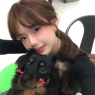 飞吧!